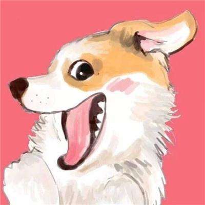 生存决斗中文破解版下载